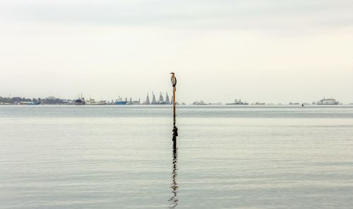Man on wooden post in sea against sky