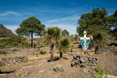 Cantona, puebla, mexico - a mesoamerican archaeoligical site with only few visitors