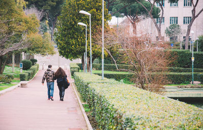 Couple walking on pathway along trees