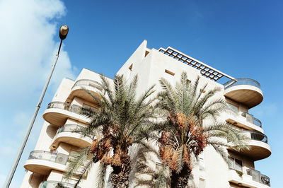 Low angle view of palm trees against residential building
