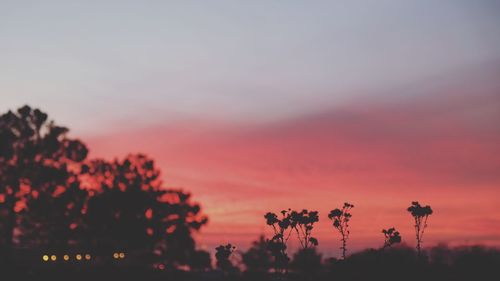 Silhouette trees against sky at sunset