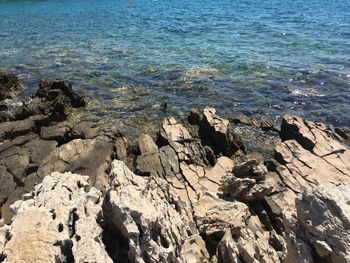 High angle view of rocks on beach