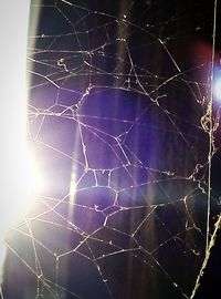 Close-up of spider web against sky at night