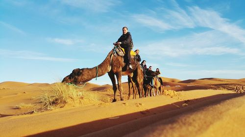 Horse on sand against sky