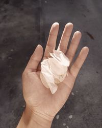 Close-up of hand holding leaf