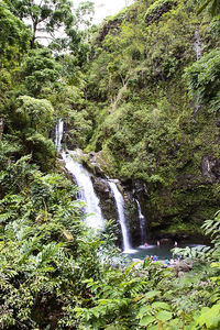 Scenic view of waterfall in forest