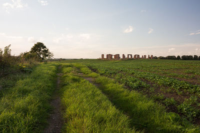 Scenic view of field against sky