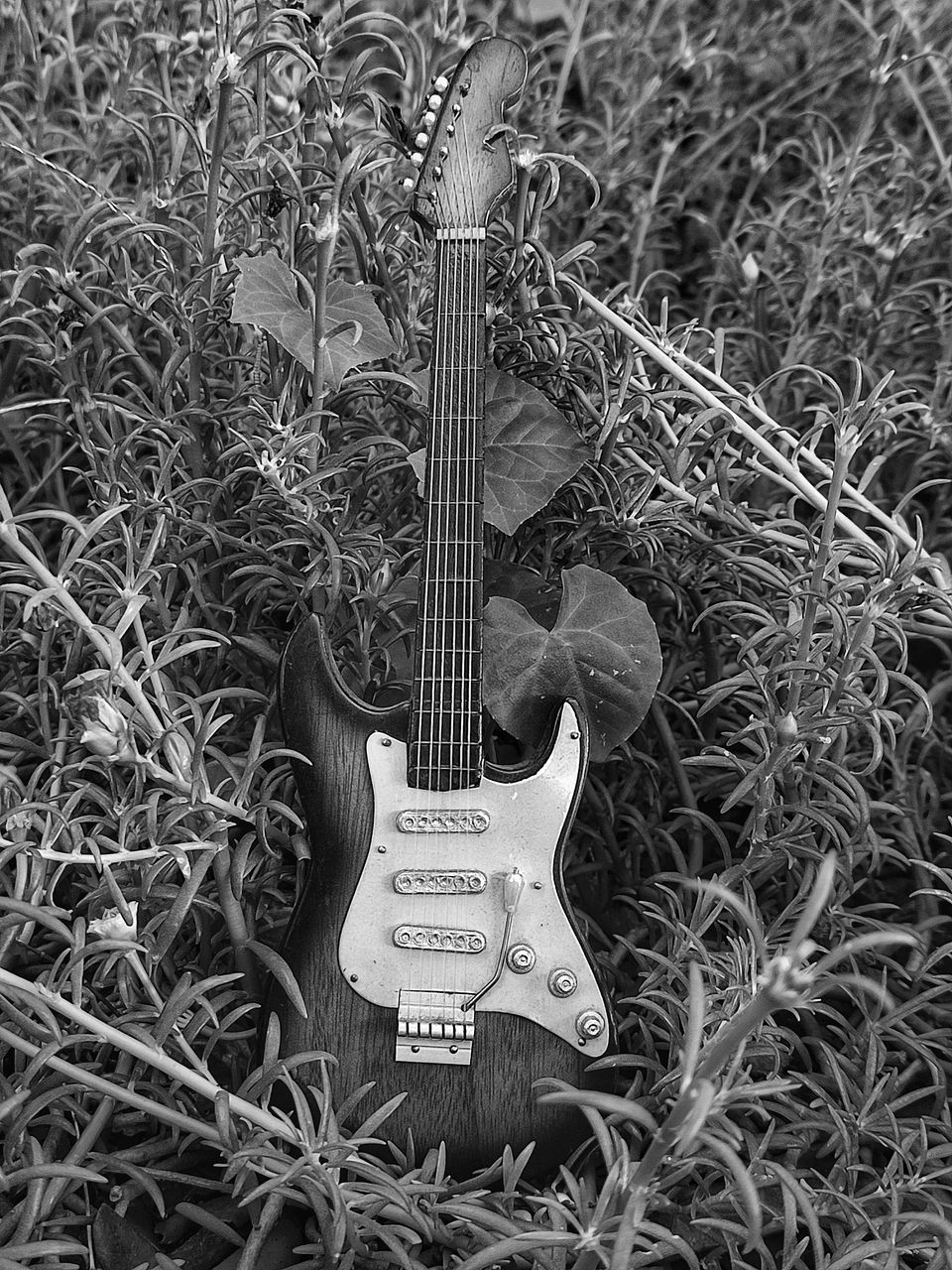 CLOSE-UP OF GUITAR ON GRASS