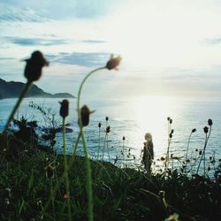 Scenic view of sea against cloudy sky