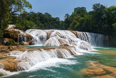 Scenic view of waterfall in forest