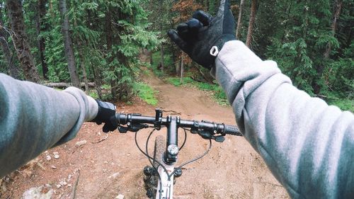 Cropped image of hand riding bicycle on pathway in forest