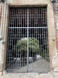 Metal grate on window of building