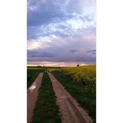 Road passing through grassy field against cloudy sky