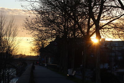 Silhouette trees by street against sky at sunset