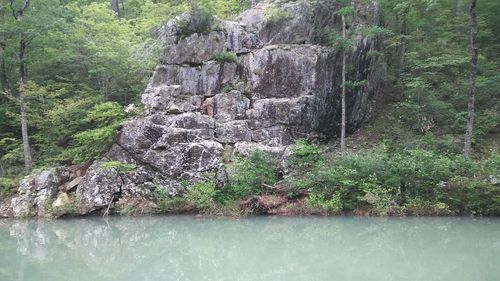 Scenic view of rocks by trees