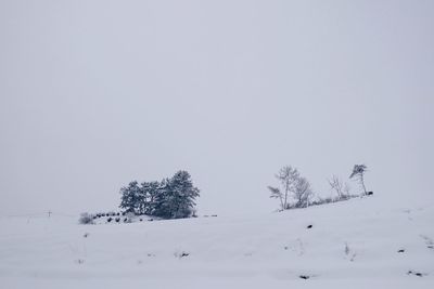 Snow covered landscape