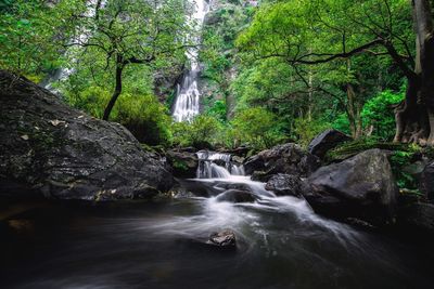 Scenic view of waterfall in forest