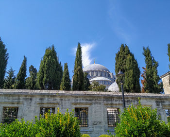 Trees and plants in city against blue sky