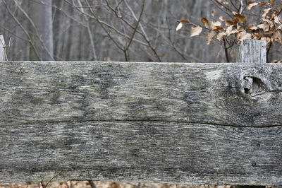 Close-up of weathered wall