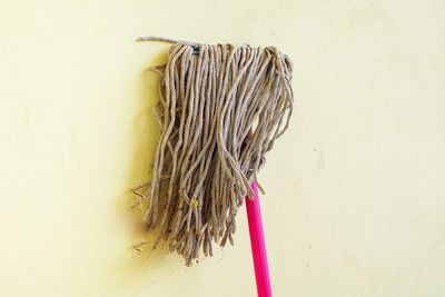 Close-up of rope against wall