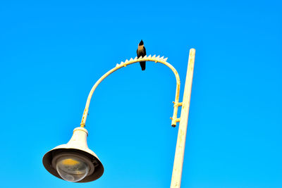 Low angle view of bird perching on street light against blue sky