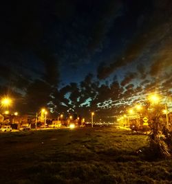 Illuminated trees against sky at night