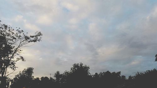 Low angle view of trees against cloudy sky