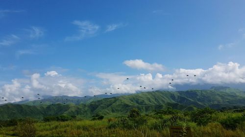 Flock of birds flying over landscape against sky