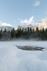 Scenic view of snowy field by pine trees at yosemite valley