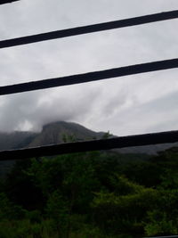 Low angle view of tree mountain against sky