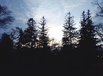 Low angle view of silhouette trees against sky