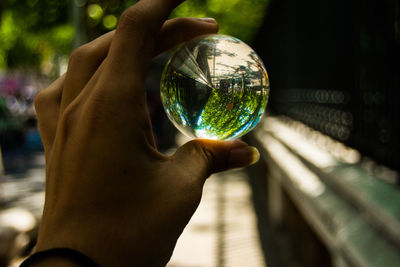 Cropped image of hand holding crystal ball