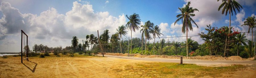 Panoramic view of palm trees on field against sky