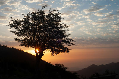 Silhouette tree against sky during sunset