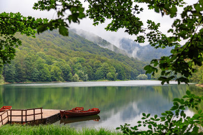 Lake biograd / montenegro / unique national park biogradska gora in summer with boats