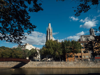 Trees by river against sky in city