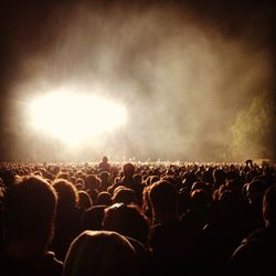 People enjoying music concert at night