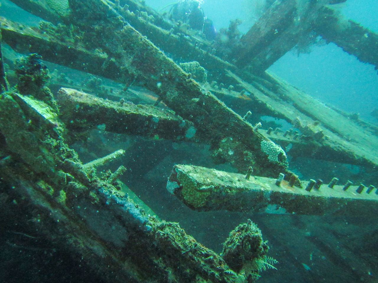 VIEW OF AN ABANDONED SWIMMING IN SEA