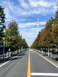 Road amidst trees against sky