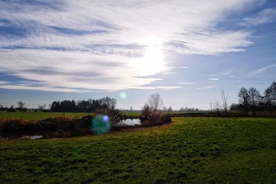 Scenic view of grassy field against cloudy sky