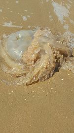 View of waves on beach