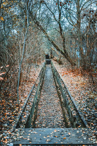 Railroad track amidst bare trees in forest during autumn