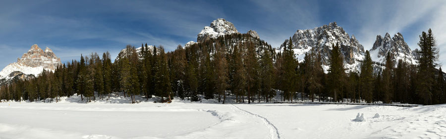 Panoramic view of snow covered trees against sky