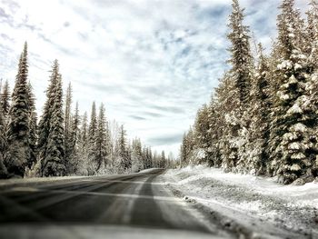 Road amidst trees against sky seen through car windshield