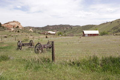 Old wagon in the field