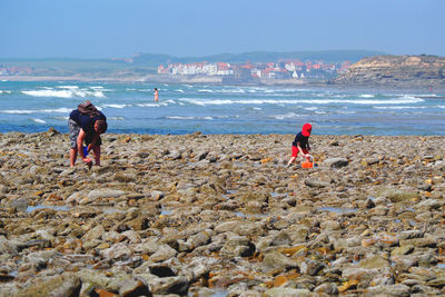 People collecting seashells at beach against blue sky