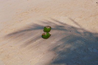 High angle view of toy ball on sand