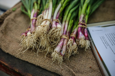 High angle view of vegetables on table