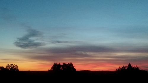 Low angle view of silhouette trees against sky during sunset