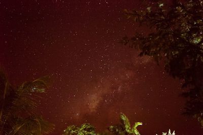 Low angle view of star field against star field